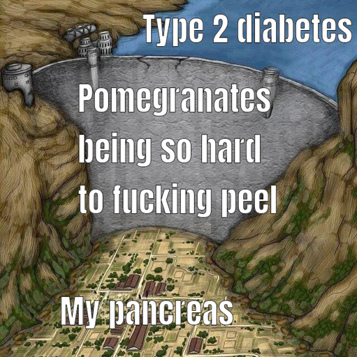 A meme of a large dam between a small town and a massive water reservoir. The water is labeled "Type 2 diabetes", the town "My pancreas", and the dam "Pomegranates being so hard to fucking peel".